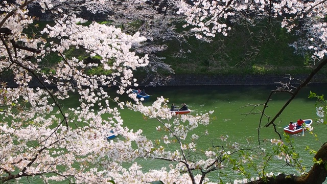 千代田，东京/日本视频素材