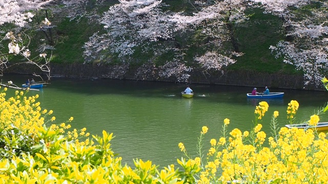 千代田，东京/日本视频素材