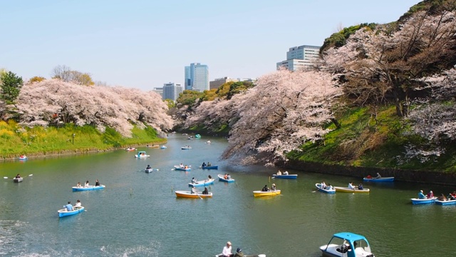 千代田，东京/日本视频下载