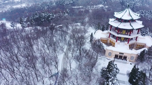 吉林雪山上的寺庙视频素材