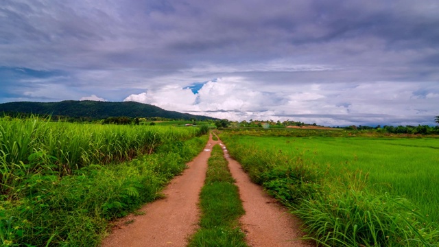 土路与田在山中视频素材