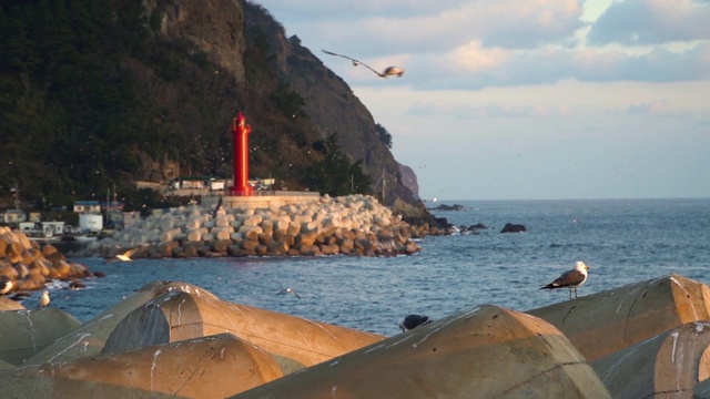 乌良岛的风景，美丽的大海和天空视频素材