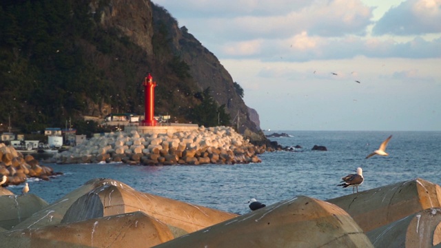 乌良岛的风景，美丽的大海和天空视频素材