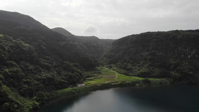 日本鹿儿岛县Ibusuki市池田湖的稻田。视频素材