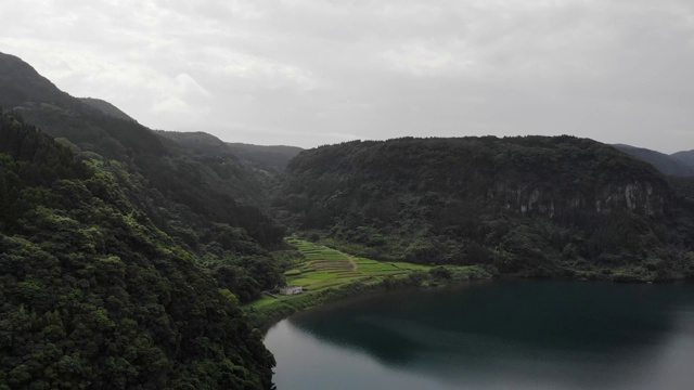 日本鹿儿岛县Ibusuki市池田湖的稻田。视频素材