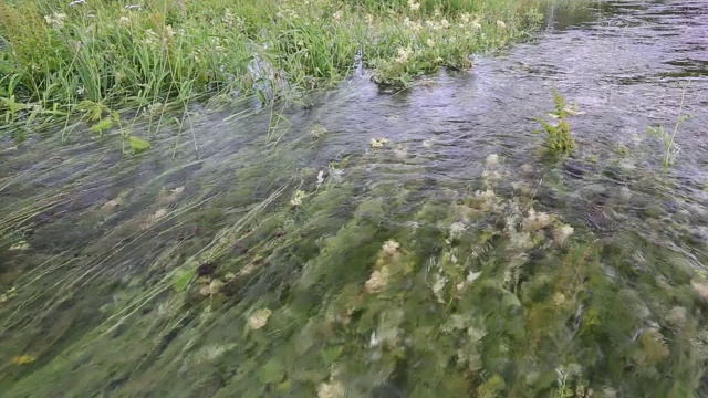 英国安布尔赛德湖区的布拉塞河，在6月24小时内的降雨量创历史记录后，河水完全泛滥。视频素材