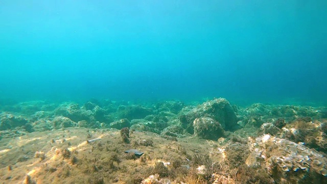 水下视野的海底或海底充满岩石视频素材