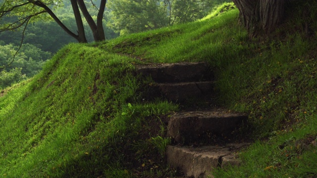 近距离的人行道与石头台阶在绿色茂盛的草地上，在一个树木繁茂的美丽的小山。视频素材