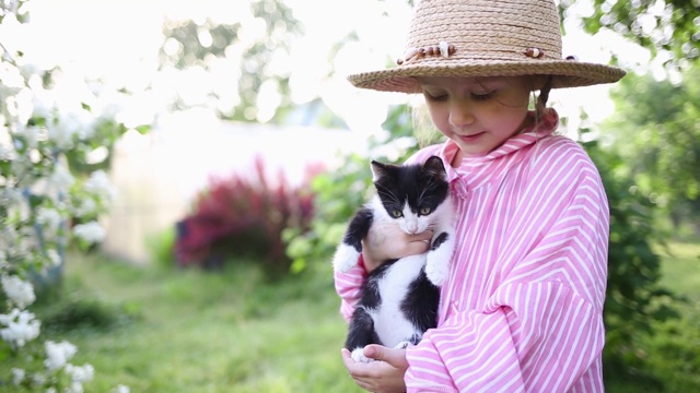 女孩在花园里穿着粉红色的衬衫在夏天。孩子在户外抱着小猫。小孩照顾宠物。近距离视频素材