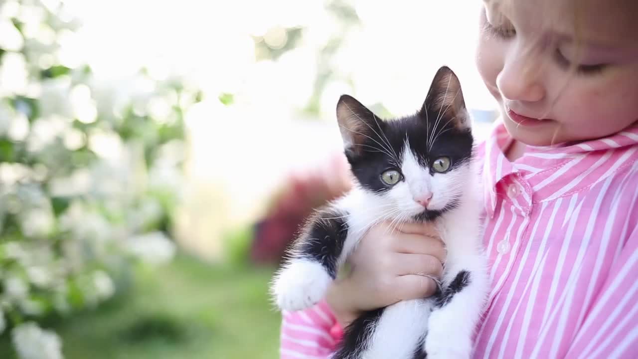 夏天在花园里穿粉色衬衫的女孩。孩子在户外把小猫抱在怀里。孩子照顾宠物。近距离视频下载