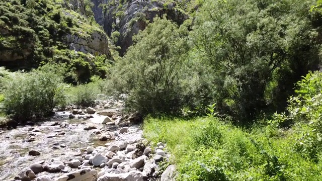 峡谷关怀河无人机在西班牙阿斯图里亚斯视频素材