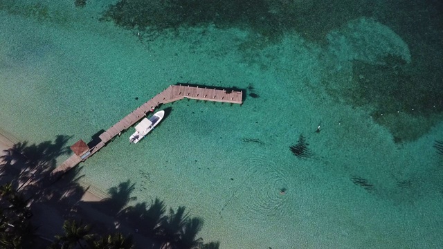 航拍的天堂，鼓励旅游业，潜水和自由潜水的加勒比，原始的海滩，碧水，珊瑚礁和5星级酒店罗阿坦，海湾群岛。视频素材