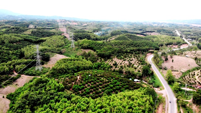 鸟瞰图的白色汽车行驶在乡村道路在森林。无人机在松树林的砾石路上飞行视频素材