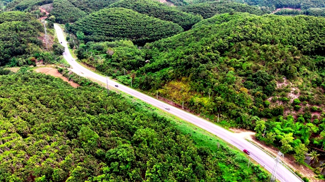 鸟瞰图的白色汽车行驶在乡村道路在森林。无人机在松树林的砾石路上飞行视频素材