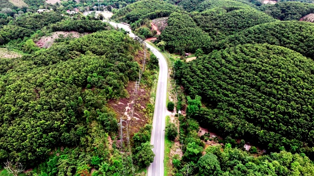 鸟瞰图的白色汽车行驶在乡村道路在森林。无人机在松树林的砾石路上飞行视频素材