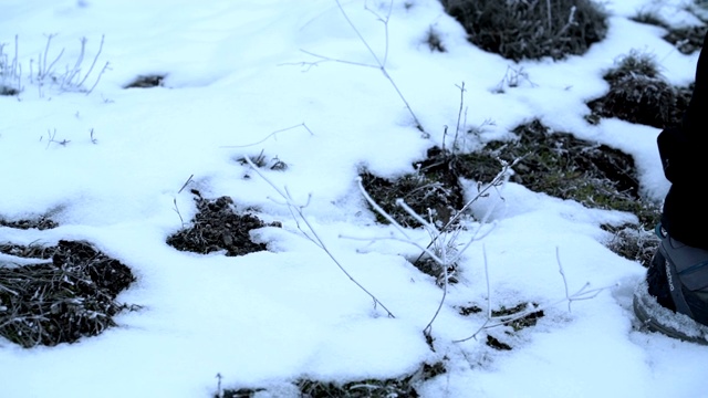 在森林里压雪的猎人的近距离特写视频素材