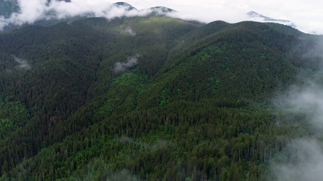 飞过山顶的云层。峰峦叠翠，自然景观优美视频素材