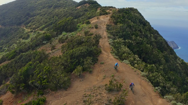 WS AERIAL POV TS骑山地车下山的男人/加那利群岛，西班牙视频素材