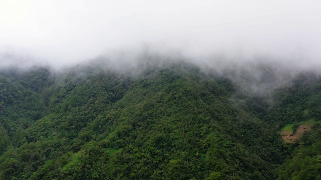 山顶有雨林。高原上的雨云视频素材