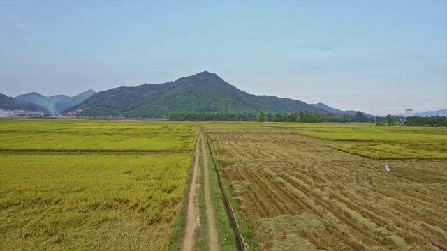 无人机快速飞过稻田间的地面道路视频素材