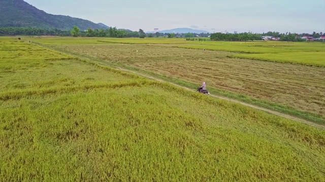 无人机跟随一名男子在稻田中驾驶视频素材