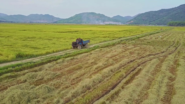 无人机飞过一辆卡车，卡车在田间的地面上行驶视频素材