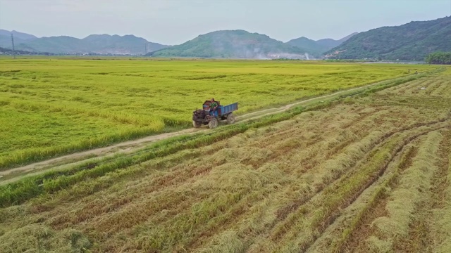 无人机近视卡车沿着地面道路移动的田野视频素材