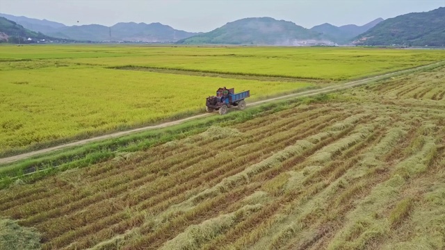 无人机飞过一辆卡车，卡车在田间的地面上行驶视频素材