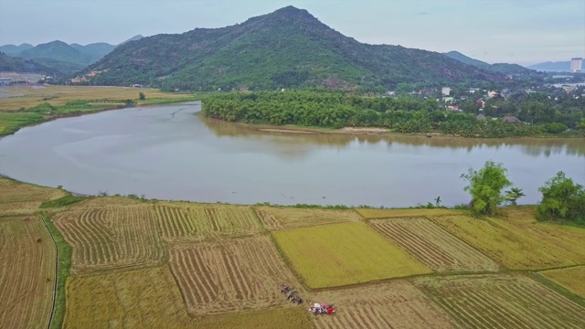 Flycam在风景天空的衬托下，在稻田和湖泊上移动视频素材