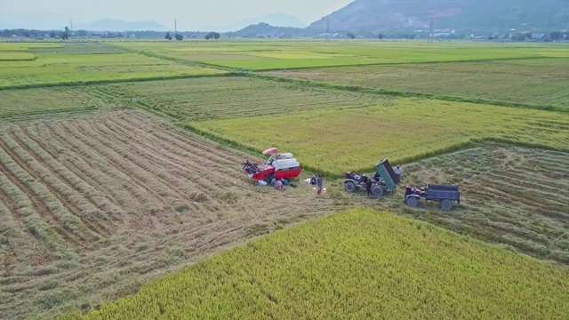 近鸟瞰图男子修理卡车联合收割机视频素材