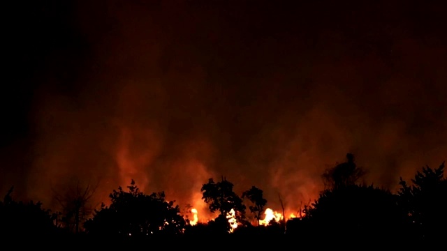 野火在夜间猛烈燃烧视频下载