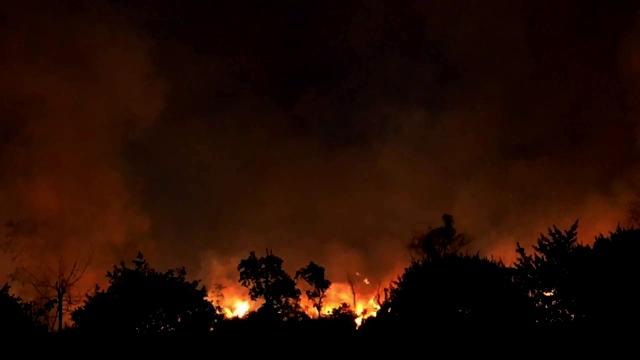 野火在夜间猛烈燃烧视频下载