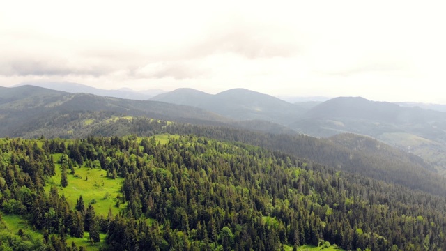 鸟瞰长满绿草和绿树的山峦。山顶上覆盖着茂密的森林。美丽的喀尔巴阡山脉在乌克兰。视频素材