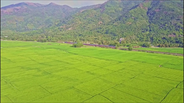 鸟瞰图越过稻田训练山脉视频素材