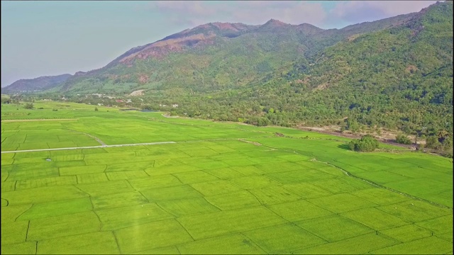 鸟瞰图稻田景观与道路的山视频素材