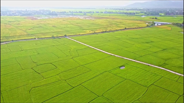 鸟瞰图稻田与道路和小湖视频素材