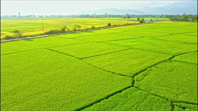 空中运动在稻田与丘陵之间的道路视频素材