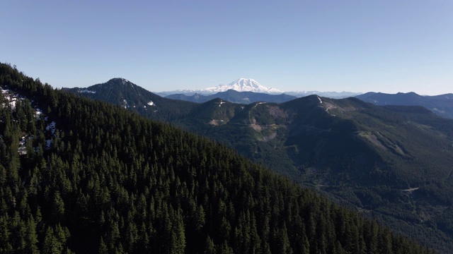 视差山脉与雷尼尔山在森林树后的空中视频素材