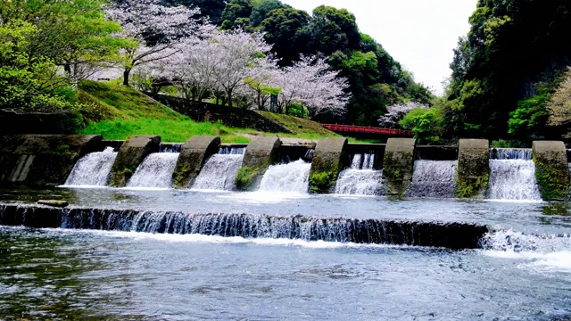 岩屋公园有美丽的河桥和樱花景观视频素材