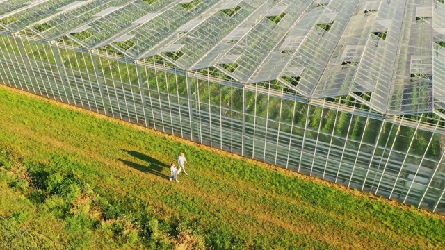 一对空中情侣，带着装满新鲜蔬菜的板条箱沿着温室走视频素材