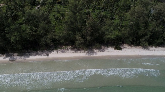 鸟瞰图海浪在白色的沙滩碧绿的海水椰子树视频素材