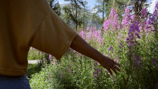 慢镜头:年轻女子在瑞士的紫色花丛中奔跑。旅行和冒险的概念。在大自然中张开双臂奔跑的女人视频素材