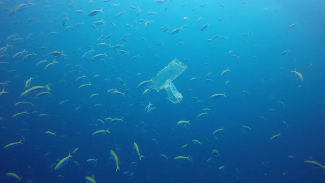 海洋视频中的塑料污染视频素材