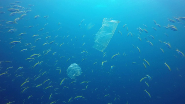 海洋视频中的塑料污染视频素材