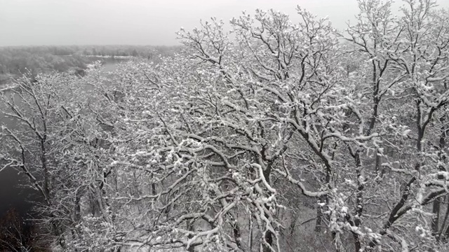 在一条风景如画的河流附近，一架无人机低低地飞过白雪覆盖的光秃秃的树枝视频素材