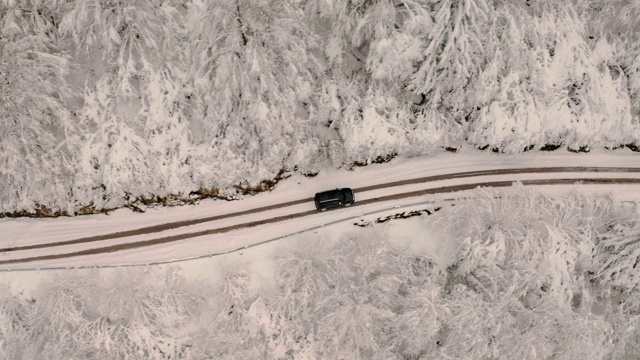 空中的雪景和一辆汽车在一个完全白色的道路上排列着松树森林在冬天的景色视频素材