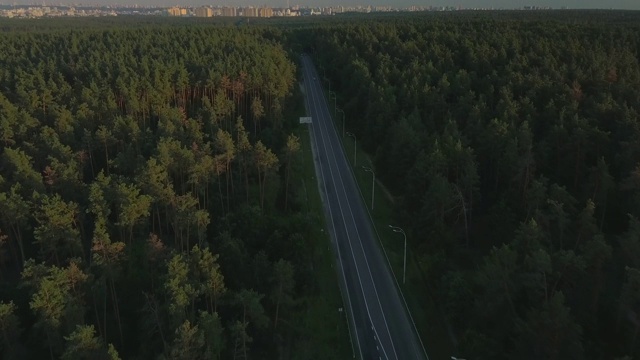 日落时分，无人机在松树林中的跑道上飞行，清澈的蓝天映衬着城市的背景视频素材