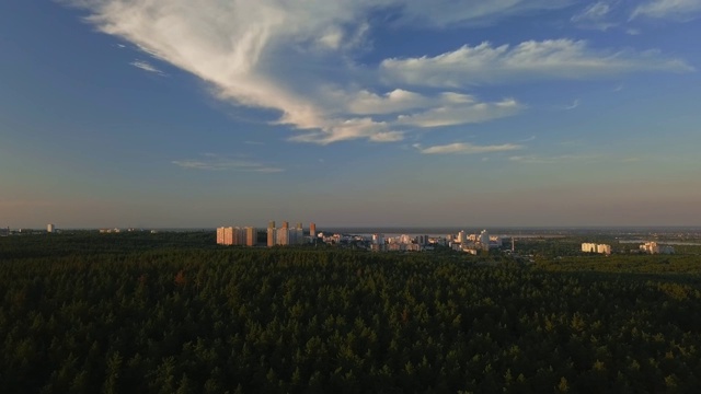 无人机在日落时分飞过松树林，清澈的蓝天映衬着城市的背景视频素材