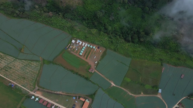 鸟瞰图的雾滚过流动在泰国北部的雨林山视频素材