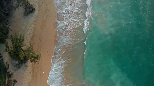 在沙地上。夏威夷的海滩。无人机航拍4k。视频素材